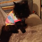 Kimberly Ahner - Facebook