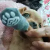 Kimberly Alba - @kimberly.alba8 - TikTok