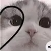 Kimberly Alejandro - @kimberly.alejandr963 - TikTok