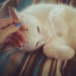 Kimberly Allgood - @awaypartyracer - Instagram