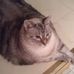 Kim Alsup - Facebook