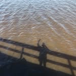 Kimberley Bernin Atchison - @bikerchic4884 - Instagram