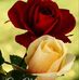 Kimberly Augustine - Facebook