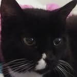 Kimberly Bair - @cloud_animal0928 - Instagram