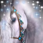 Kimberly Baird - @kimberly.baird.7798 - Instagram