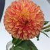 Kimber Balch - Facebook