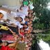 Mia Kimberly Barros - Facebook