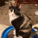 Kimberly Barto - @barto4616 - Instagram