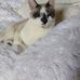 Kimberly Baughman - Facebook