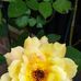 Kimberly Baughman Green - Facebook