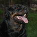 Kim Alderson Baumgardner - Facebook