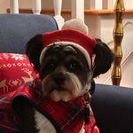 Kimberly Beecham Carson - @kimmycars - Instagram