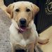 Kim Beedle - Facebook