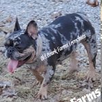 Kimberly Cantrell Steven Beier - @kimberlybeier - Instagram