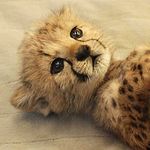 Kimberly Bergmann - @bergmann4644 - Instagram