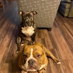 Kimberly Billups - @billupskim8 - Instagram