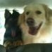 Kimberly Blakemore - Facebook