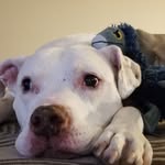 Kimberly Blank - @kimberlyblank706 - Instagram