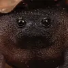 kimberlyblank - @kimberlyblank - TikTok