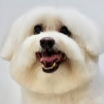 Ramsay Kimberly Bolton 🇵🇭 - @ramsaybabyboy - Instagram