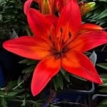 Kimberly Bomar West - @west.kimberly17315 - Instagram