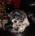 Kimberly Bratcher - Facebook