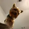 kimberlybratcher8 - @kimberlybratcher8 - TikTok