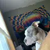 Kimberly Bowen Braxton - @kimberlybowenbrax - TikTok