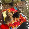 kimberlybraxton122 - @kimberlybraxton122 - TikTok