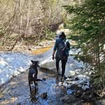 Kimberly Brenner - @kimberlybrenner - Instagram