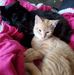 Kim Burchfield - Facebook