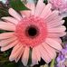 Kimberly Reagan Byars - Facebook