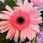 Kimberly Reagan Byars - @flowerskb2 - Instagram