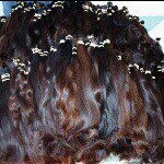 Kimberly bynes - @kimberlysvirginhair - Instagram
