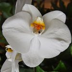 Kimberly S. Castner-Henry - @kimsue685 - Instagram