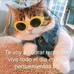 kimberly ceja - @kimber0229 - Instagram