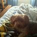 Kimberly A. Chartier - Facebook
