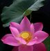 Kimberly Chew - Facebook