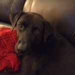 Kimberly Clanton Quirk - @kaqchick - Instagram