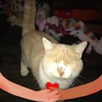 Kimberly Claycomb - Facebook