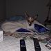 Kimberly Clem - Facebook