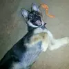 Kimberly Clemence - @kimberly.clemence - TikTok