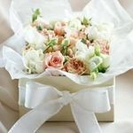 Kimberly Mahan Cornish - @kimberly.cornish.58 - Instagram