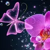 kimberly craddock - @kimberly.craddock0 - TikTok