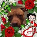 Kimberly Crews - @kimberly.crews.509 - Instagram