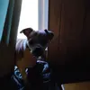kimberlycrowder341 - @kimberlycrowder341 - TikTok