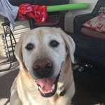 Kimberly Daigle - @kdaigle1959 - Instagram