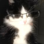 🐈‍⬛✨️ - @kimberly_.dailly - Instagram