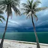 Kimberly Dail688 - @kimberlydail688 - TikTok