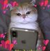 Kimberly Dameron - Facebook